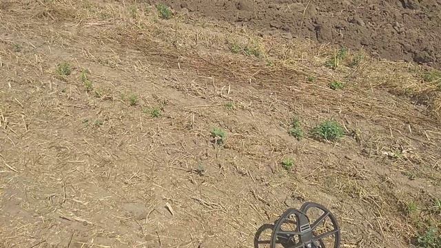 Коп с нокта симплекс в лесу 2021,торговая пломба и обломок по КР. смотреть онлайн