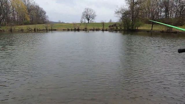 Bank Fishing for Early Spring Bluegill with a Slip Bobber and Gulp! Minnows смотреть онлайн