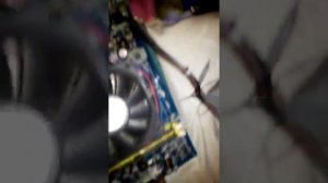 Комп щелкает при включении с новой видеокартой