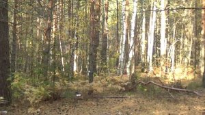 Жан Татлян  Осенний свет  Песни нашей молодости