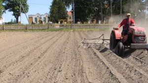 Самая лучшая механическая прополка картофеля.