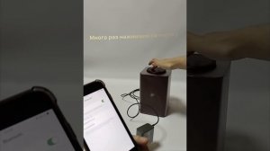 Разблокировка Яндекс станции Алиса