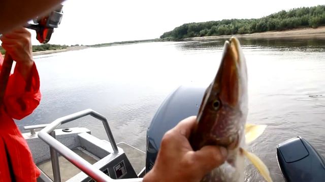 Отдых. Река Лена. 22.08.21 смотреть онлайн