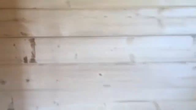 Java Log Cabin from Lasita Maja at our Downham Market site смотреть онлайн