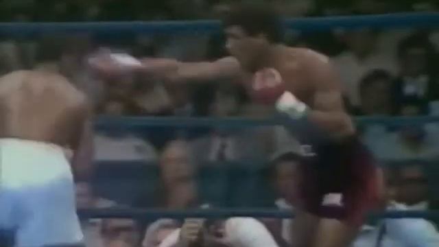 Thomas Hearns vs Pablo Baez 1981-06-25 смотреть онлайн