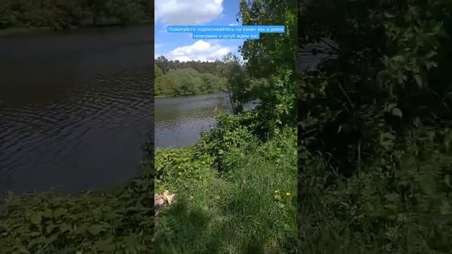 Рыбалка в Подольске на Пахре июнь смотреть онлайн