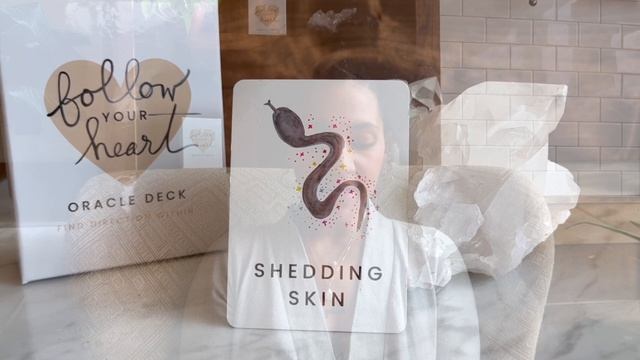 Shedding Skin Oracle Message ✦ Follow Your Heart Oracle Deck Visual Guidebook by Tori Rerick смотреть онлайн