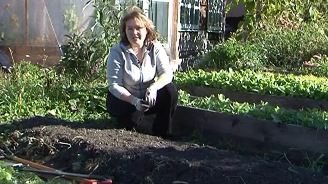 Закладка теплых грядок. Посадка лука и тюльпанов. смотреть онлайн