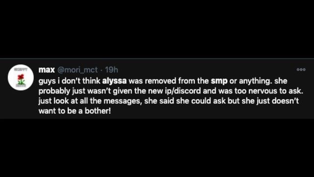 alyssa was removed from the dream smp and twitter reacts смотреть онлайн