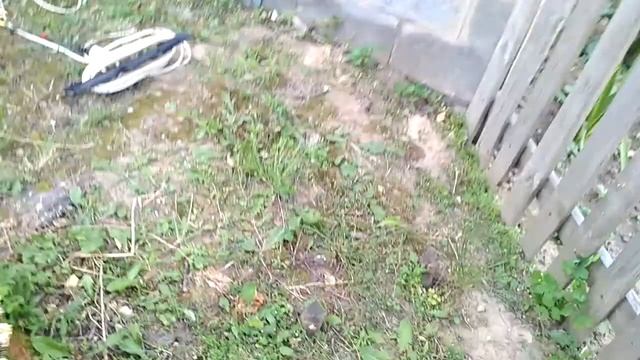 bosch Aquatac 120 смотреть онлайн