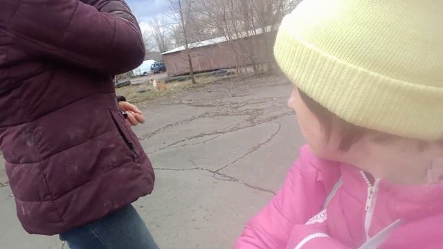 История создания "Дай Лапу". Папа общается с создатилем приюта Надеждой И.С. смотреть онлайн