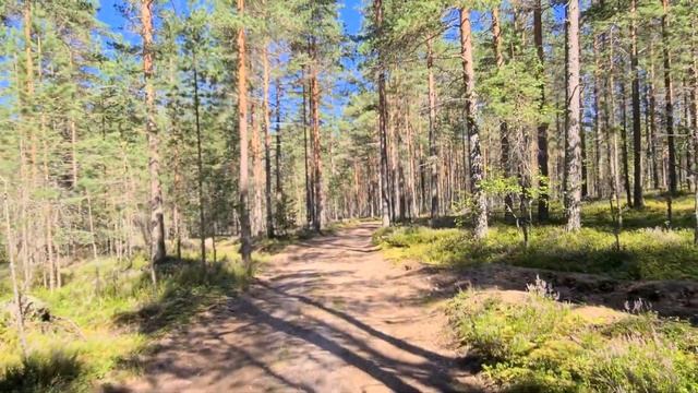 Hiking in the woods #2 ( Прогулка по лесу #2) смотреть онлайн