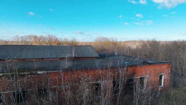 Церковь Рождества Пресвятой Богородицы села Шелемишево Скопинского района смотреть онлайн