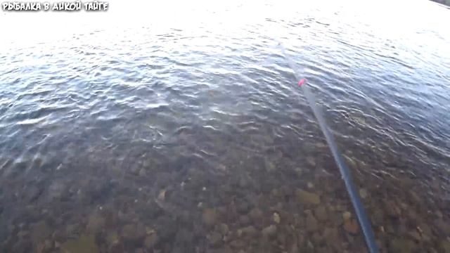 Ночной супер клёв хариуса на удочку смотреть онлайн