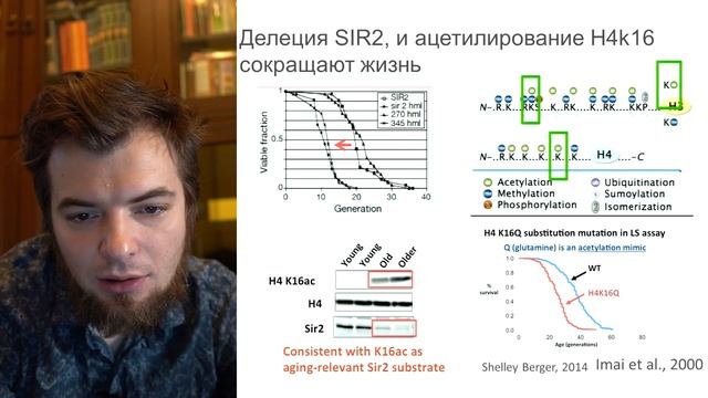 Эпигенетика старения и эпиоткат