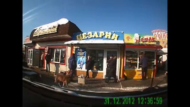 sobaka mp4 смотреть онлайн