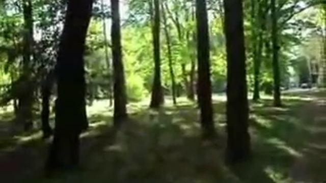 Людмила Зыкина Чом, чом , земле моя смотреть онлайн