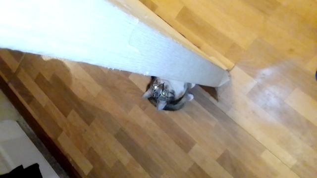 у дуньки новые игры смотреть онлайн