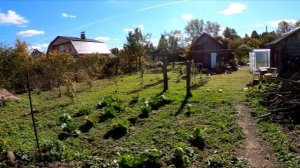 Как Изменилась наша Дача за 4 месяца. Обзор Дома и Участка, Сада, Огорода. Ремонт Дачи в деревне.