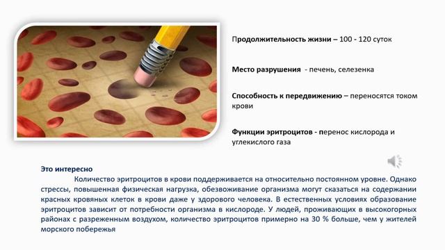 Внутренняя среда организма. Тема 20. Форменные элементы крови. Лабораторная работа № 1 смотреть онлайн