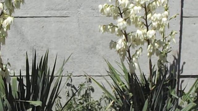 Женская мода и стиль для вечеринок