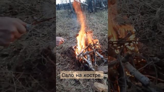 Шкварчит сало на костре.mp4