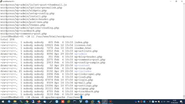 wordpress installation on Red Hat 8 смотреть онлайн