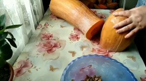 Когда собрать семена из тыквы. Мой любимый сорт тыквы мускатная гитара