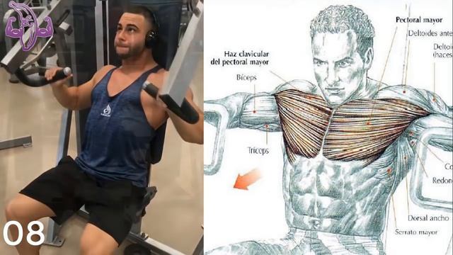 25 Ejercicios Para Pecho Hombros, 25 Exercises For Chest-Shoulders