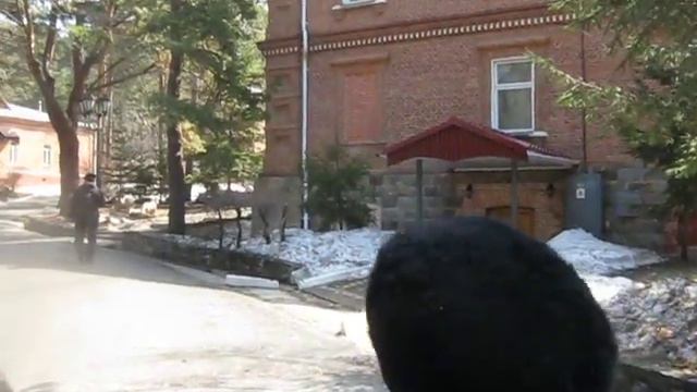 Экскурсия по Шмаковки.Военный санаторий. смотреть онлайн