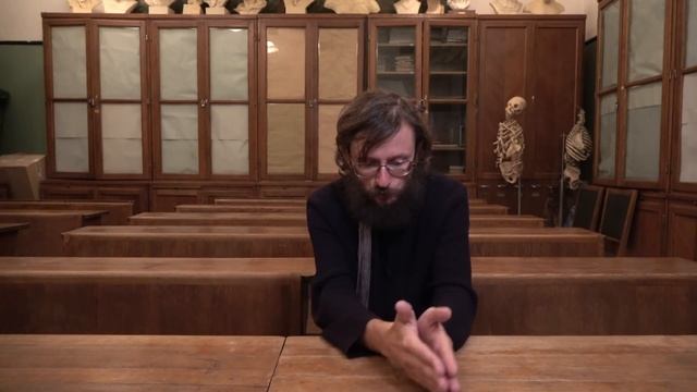 Антропология: Ранние австралопитеки. Станислав Дробышевский смотреть онлайн