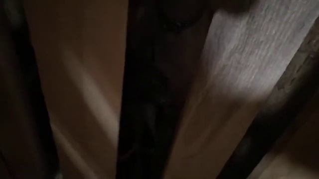 Козы празднуют новоселье. смотреть онлайн