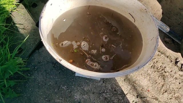 Что выращивает Вася уже 10 лет? смотреть онлайн