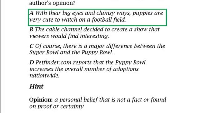 4th Grade Reading Comprehension Review (The Puppy Bowl) смотреть онлайн