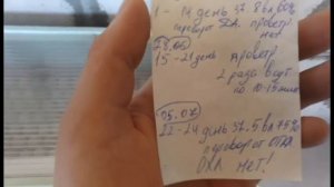 Инкубация фазанов  Блиц Норма | Мой первый опыт с фазанами