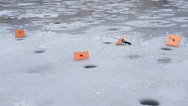 зимняя рыбалка Алматы два выезда по 12 часов фото видео отчет смотреть онлайн