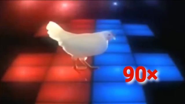 J.Geco - Chicken Song ( 999× ) смотреть онлайн