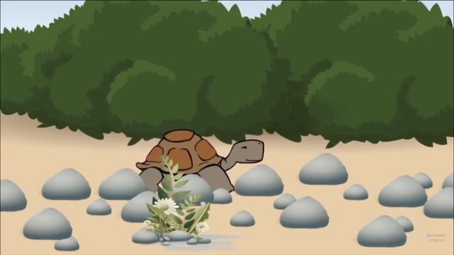 Урок окружающего мира Тема «Пресмыкающиеся» смотреть онлайн