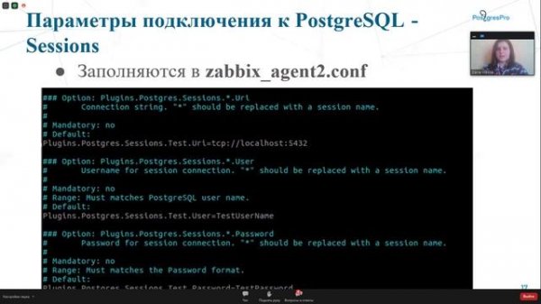 Разработка плагинов для Zabbix Agent 2. Дарья Вилкова