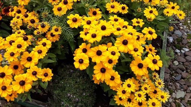 21.08.23 Конкурс по Благоустройству. с. Балыкса, рп В-Тея. смотреть онлайн