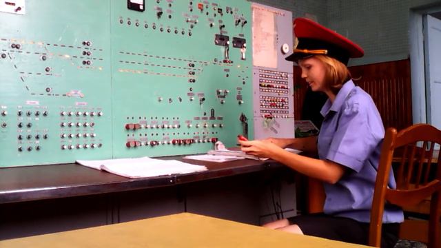 Профессия ДСП