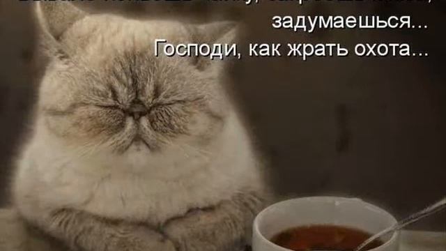 хорошо быть молодым смотреть онлайн