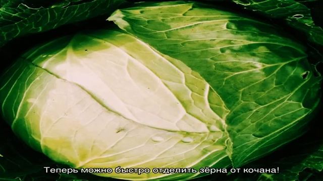 Мастера уборки