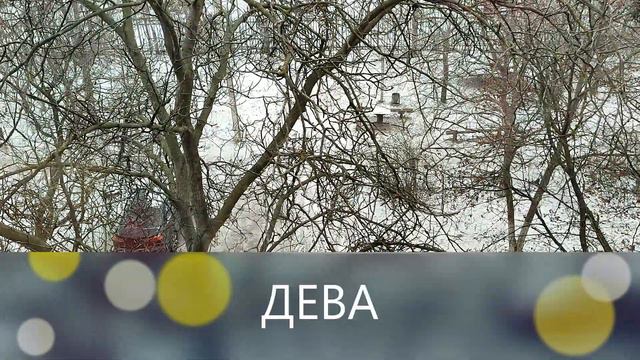 РАХУ меняет сектор на 1,5 года. Астро-рунический прогноз для всех знаков зодиака. смотреть онлайн