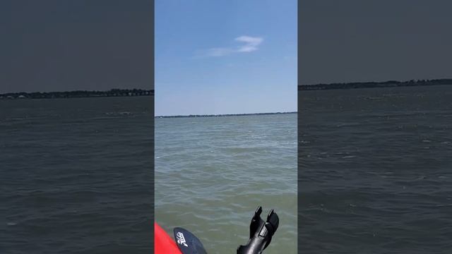 kelly the kayak fisher смотреть онлайн