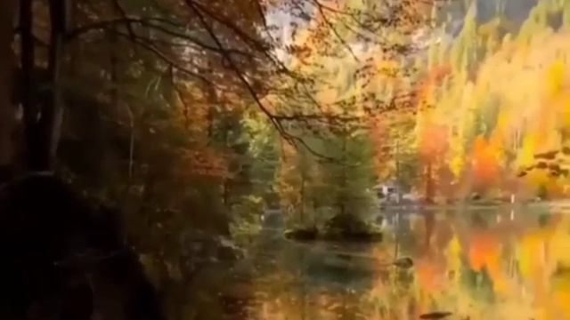 ОСЕННЕЕ НАСТРОЕНИЕ... СЛУШАЕМ ПРЕКРАСНУЮ МЕЛОДИЮ СЕРГЕЯ ГРИЩУКА. смотреть онлайн