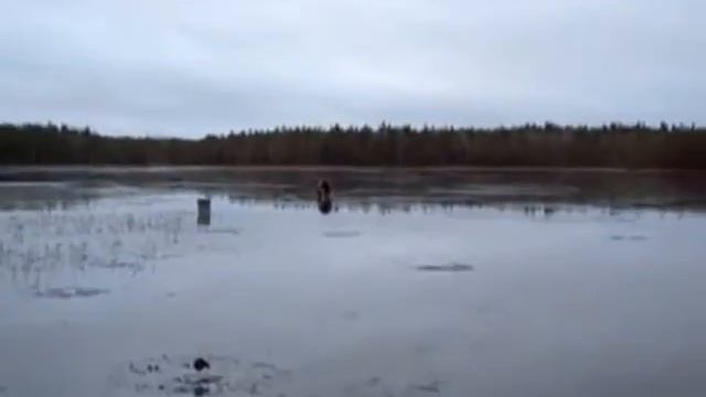 подледная рыбалка.avi смотреть онлайн