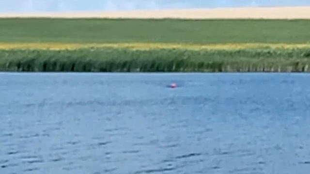 Runferry Потеря связи Глубиномер смотреть онлайн