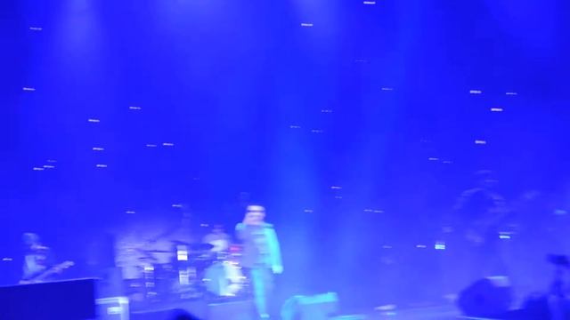 Танцы Минус - Цветут Цветы (LIVE 21.09.2019) смотреть онлайн