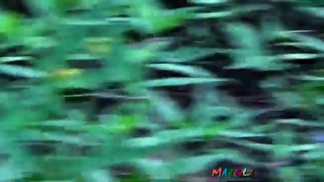 Рецепты для гурманов и ценителей вкуса 